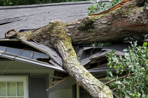 Storm Remediation in Cleveland