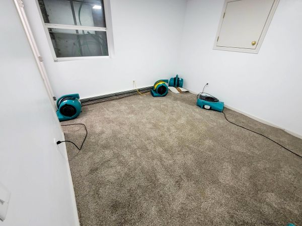 Flood Restoration Service in Cleveland