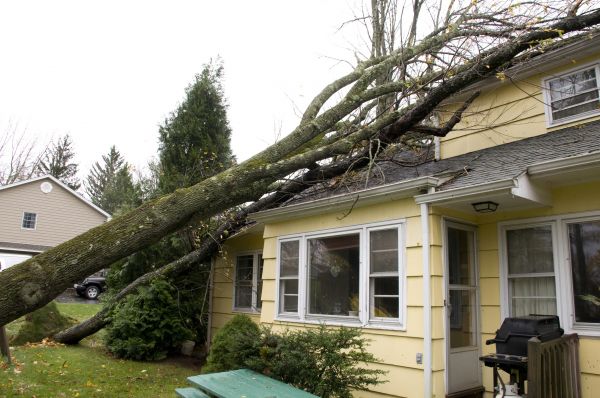 Hurricane Damage Repair in Cleveland