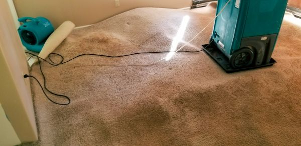 Flooded Carpet Cleaning